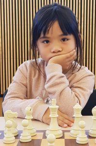 Read more about the article Nordic Chess Championship for Girls Online 2020